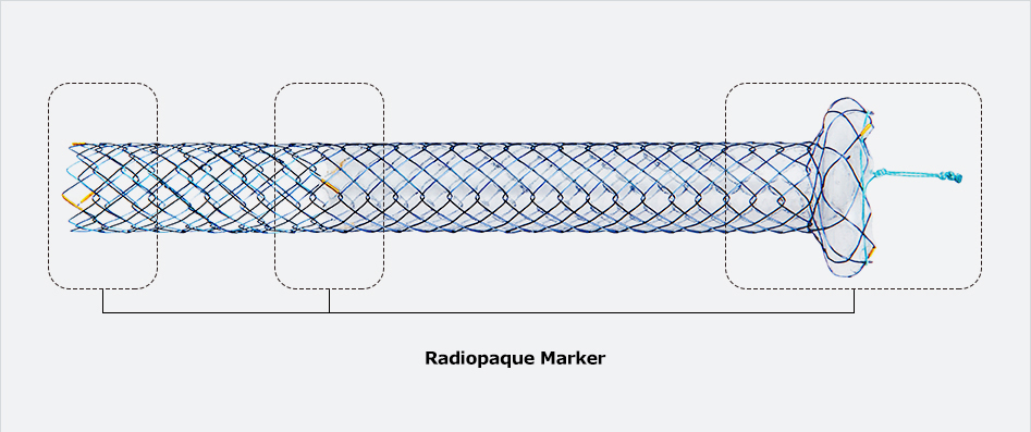 Radiopaque Market