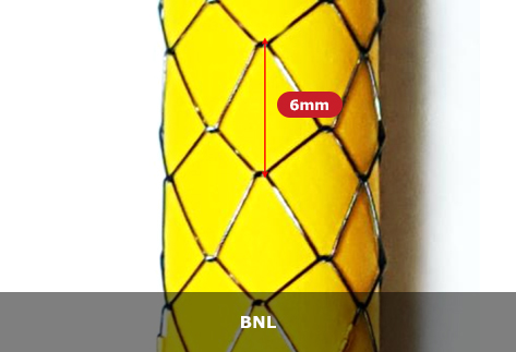 BNL (6mm)